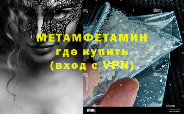 сатива Бородино