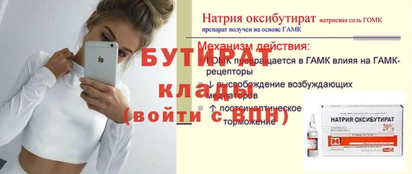 сатива Бородино