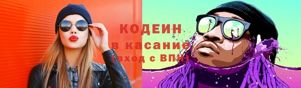 сатива Бородино