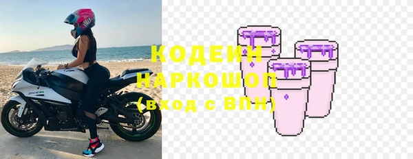 сатива Бородино