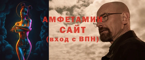 сатива Бородино