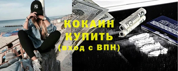 сатива Бородино
