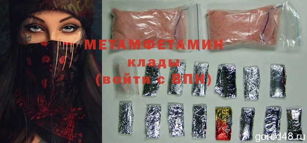сатива Бородино