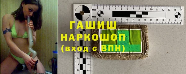 сатива Бородино