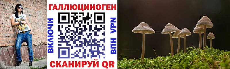 где продают   Карпинск  Галлюциногенные грибы ЛСД 