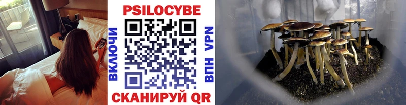 Галлюциногенные грибы GOLDEN TEACHER Карпинск